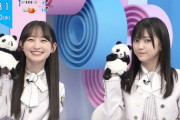 【乃木坂46】一ノ瀬『星星 the Teacherと♡』池田『ベラベラ♡』ずん飯尾『自由参加です・・・』wwwwww