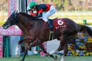 【デイリー杯2歳S】1番人気セリフォスがゴール前差し切りV！重賞2連勝