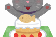 うちの猫が今日で６才になった訳だが…