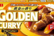 カレーのルーを他社のと混ぜると美味しいってマジなの？