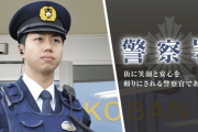 警官になって法律を盾に理不尽に免許切りたい