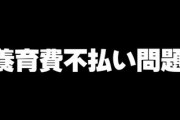 離婚に伴う養育費不払いは国が立て替えへ　離婚相手の財産差し押さえも　法改正検討