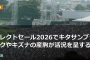 セレクトセール2026でキタサンブラックやキズナの産駒が活況を呈する