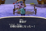 【あつまれどうぶつの森】インフラ関係はまた募金かな？　今度は住人もしっかり募金してくれるかな？
