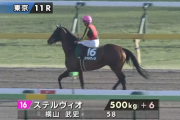 10着ステルヴィオ横山武史騎手「やはり芝の方が良さそうです」