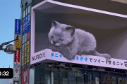 海外「次は猫が出てくるのか…相変わらず凄いねこの看板は！」飛び出すように見える日本の3D看板が海外で話題に！！