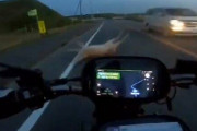 車にはねられた鹿が目の前に突然飛んでくるバイク車載動画が話題に・・・