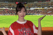 韓国人「日本の野球場で韓国人が目撃した衝撃の光景がこちらです‥」→「文化の違いに目から鱗…（ﾌﾞﾙﾌﾞﾙ」