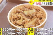 【悲報】牛丼、終わる　大手3社が値上げ