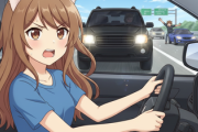 【話題】車社会の米国では怒りに任せた煽り運転や不必要なクラクション、無謀なスピード違反やウィンカーなしの車線変更は当たり前。時速100キロで走行していても10分に