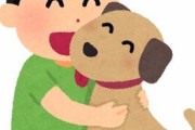 「かわいい」「安い」「吠えない」「臭くない」「エサ代かからない」←こういうペットっておる？