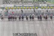 今村聖奈が阪神12Ｒで落馬