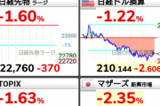 【悲報】日経平均株価、大暴落