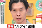 【悲報】「ルフィ逮捕」の件で炎上中のハライチ岩井さん、正論を言われ怒りのブロックをしてしまう…