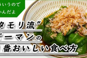 【朗報】大量のピーマンを消費できるレシピ教えてくれ。