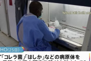 「バイオハザードの危険」スーダンのウイルス研究所を正規軍か準軍事組織RSFによって占拠！