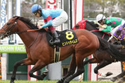 【競馬予想】第74回 鳴尾記念(G3) /2021