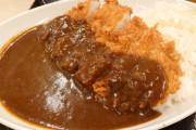 【悲報】「カツカレー」を食う代償、いくらなんでも大き過ぎる