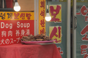 数少ない文化を捨てるなよ　〜　韓国「犬肉禁止法」施行へ　葛藤する現場　45年続く犬肉店　生き残りかけヤギ料理