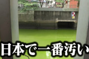 【悲報】道頓堀に飛び込んだ男性、死亡
