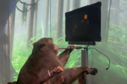 【画像】脳にチップを埋め込んだサルが「思考」だけでゲームをする映像が公開ｷﾀ━━━━(ﾟ∀ﾟ)━━━━!!
