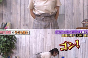 【朗報】芦田愛菜さん（16）、既に大人の身体になってると判明