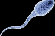 男の精子、〇〇の時ほど“濃くなる”ことが判明へｗｗｗｗｗｗｗ