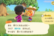 『あつ森』がカブで借金を返すゲームになってしまってる件