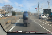 X民「あのバイクにだけは煽り運転出来ない」ﾊﾟｼｬｯ←ガチで最強すぎて話題にｗｗｗｗ「追い抜いても終わる」