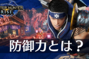 【攻略】モンハンライズさ、防御力最大まで固めたのに