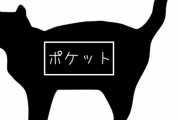 「もし猫にポケットがあったら、あなたの猫は何を入れると思う？」回答いろいろ