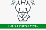 【悲報】 2月までに2万ポイント貰えるマイナンバー申請受け付けサーバー、繋がらない