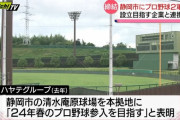静岡にプロ野球の球団が設立されるｗｗｗｗｗｗｗｗｗｗｗｗｗ
