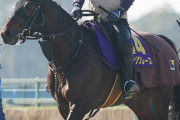 【有力馬が続々と】オーソクレース　皐月賞の鞍上はルメールに決定