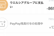paypay使ってるやつ教えてくれ