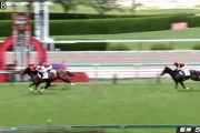 【2歳新馬】ダノンスコーピオン強すぎワロタｗｗｗｗ