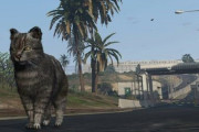 【地獄】GTAオンライン、もうめちゃくちゃｗｗｗｗｗｗｗ