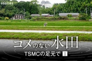 【捏造】朝日新聞「TSMCのせいでコメのない水田が広がっている」 ネット民「米の買取価格の問題ではないの…？」