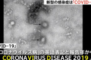 新型コロナウィルス「COVID19」←この名称全く浸透しないよな