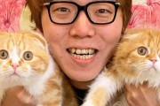 【悲報】ヒカキンの飼い猫、全く出てこなくなるｗｗｗｗｗｗｗｗｗ