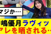 【櫻坂46】中嶋優月ラヴィットにまさかのアレを晒される…#櫻坂46 #そこ曲がったら櫻坂#承認欲求#森田ひかる #山﨑天  #藤吉夏鈴 #sakurazaka46 #欅坂46#村山美羽 #中嶋優月