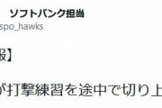 ソフトバンク・柳田にアクシデントか　打撃練習を途中で切り上げる