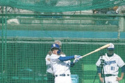 中日石川昂弥、フリー打撃で57スイング柵越え15本