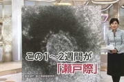 【悲報】安倍さん、流石にもういついつが山場とか言わなくなる「我々は“長期戦”を覚悟する必要がある」
