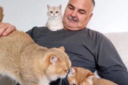 お父さんとネコ。猫たちに愛されまくっているお父さんの動画にほっこりする。