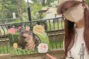 【乃木坂46】与田ちゃんがプライベートで珍しいバナナマンTシャツ着てる