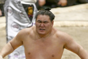 【速報】横綱豊昇龍、もうダメそう・・・・・