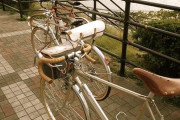 【悲報】自転車さん、罰金がきつすぎてほぼ使用不能へｗｗｗ
