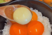 韓国人「日本の卵かけご飯専門店がこちらです」ブランド卵が食べ放題の極上ランチの内容とは‥ﾌﾞﾙﾌﾞﾙ　韓国の反応