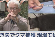 吹き矢でクマ捕獲　その時、現場では  [5//21]
